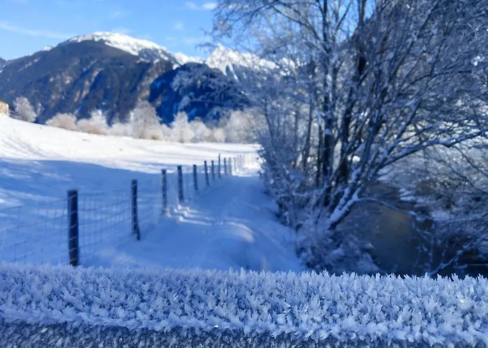 Bliem, דירה פינקנברג